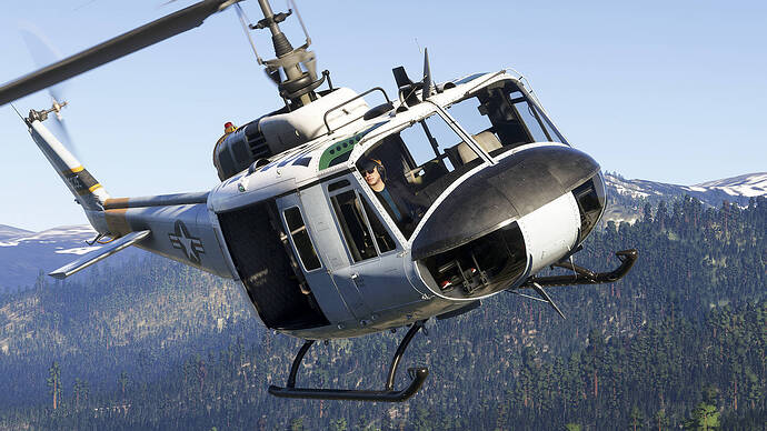 Microsoft Flight Simulator 2024-2026_02_01-17-40-53