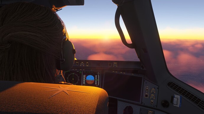 Microsoft Flight Simulator 2024 Screenshot 2025.07.03 - 12.45.40.88