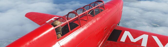 Microsoft Flight Simulator 5_28_2021 4_25_53 PM_result