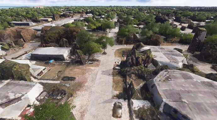 No Palm Trees Key West