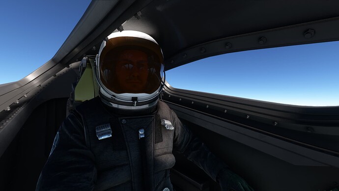 Microsoft Flight Simulator Screenshot 2024.04.08 - 22.08.36.58