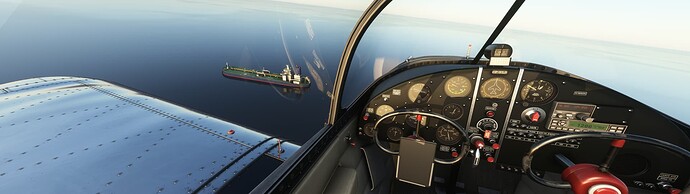 Microsoft Flight Simulator 4_10_2022 10_32_51 PM