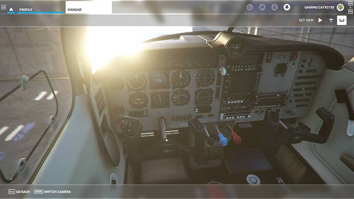 Microsoft Flight Simulator 21.08.2021 09_23_11