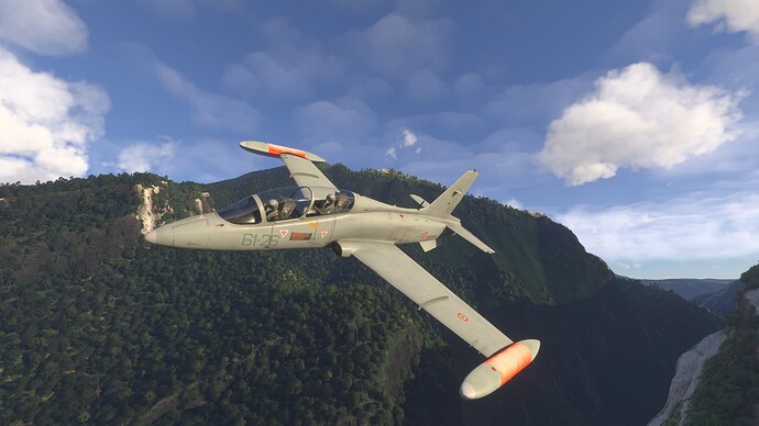 Microsoft Flight Simulator 2024-2025_08_13-17-22-39