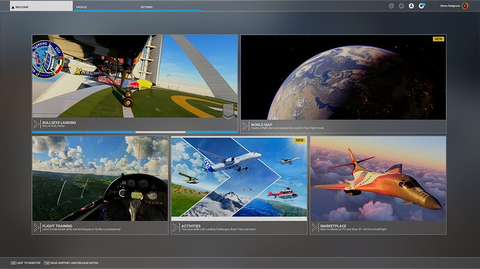Microsoft Flight Simulator 11_25_2024 9_34_09 AM
