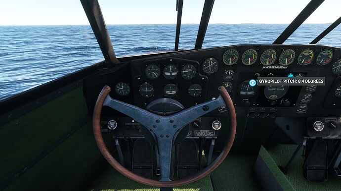 Microsoft Flight Simulator 21_10_2024 15_24_54