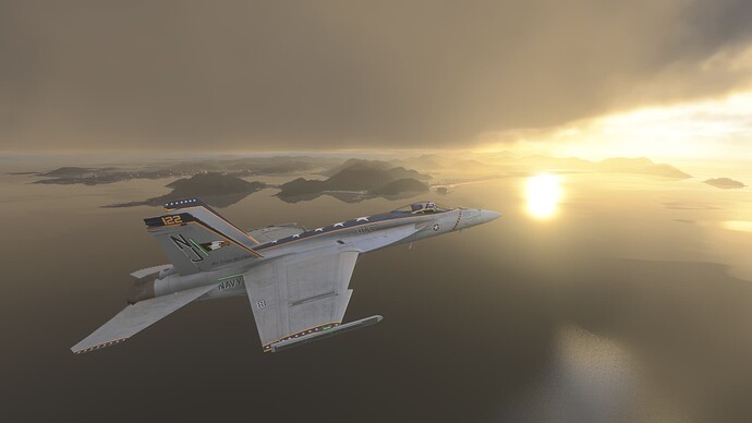 Microsoft Flight Simulator 2024-2025_08_30-09-39-07