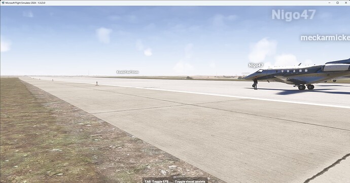 Microsoft Flight Simulator 2024 25-Apr-25 21_28_15