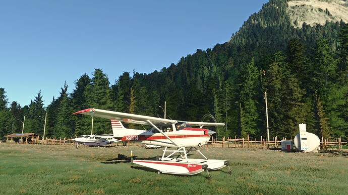 Microsoft Flight Simulator Screenshot 2023.07.01 - 15.35.49.30