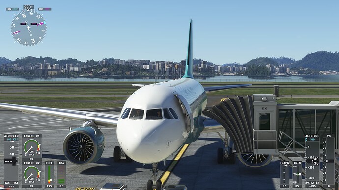 Microsoft Flight Simulator 06.07.2023 08_28_50