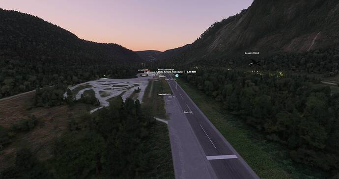Microsoft Flight Simulator Screenshot 2021.07.24 - 21.29.41.03