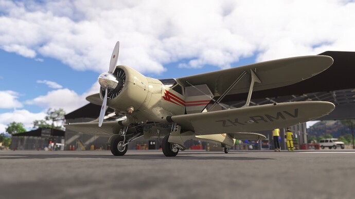 Microsoft Flight Simulator 2024-2024_12_01-21-26-19
