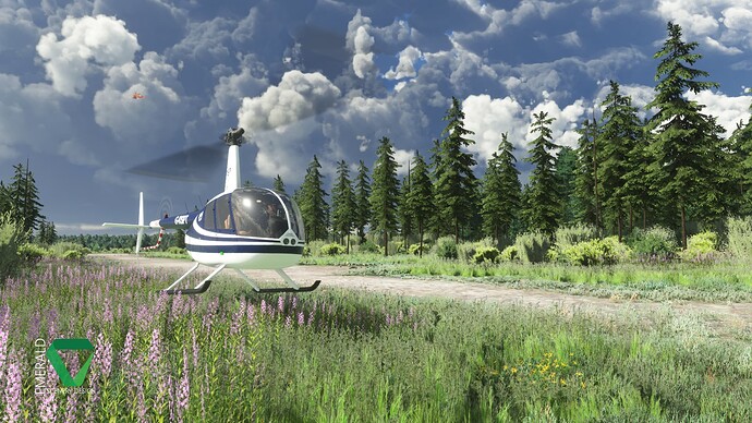 chunilna_cabin_strip_alaska_p2_1