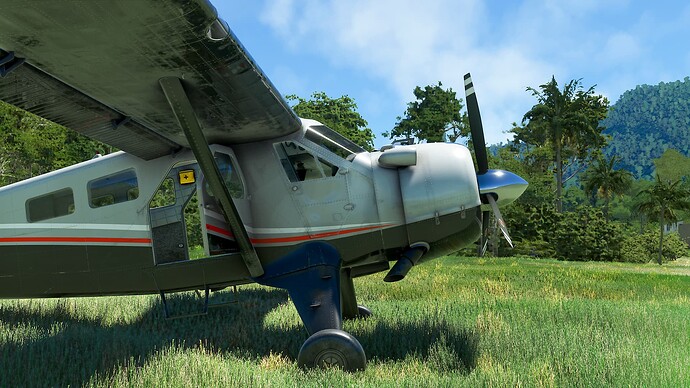 5-1-2023_9-13-06_PM-tocwtoyz