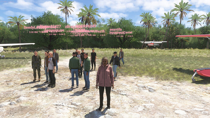 Microsoft Flight Simulator 2024 10_07_2026 20_59_08