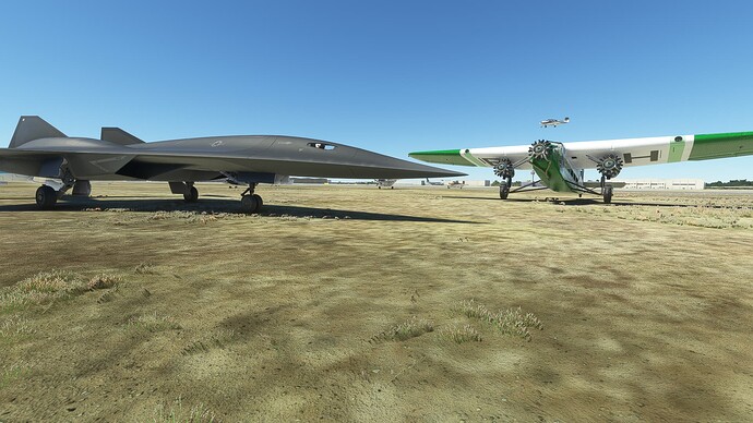 fly-in-2