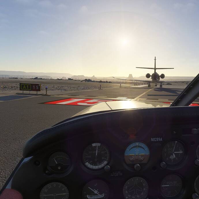 Microsoft Flight Simulator 2024 Screenshot 2025.05.29 - 15.05.06.73_Snapseed