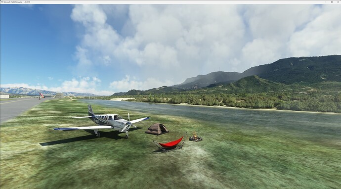 Microsoft Flight Simulator 3_9_2023 10_34_47 PM