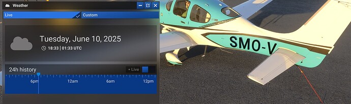 Cirrus SR22 Registration Shadow 2