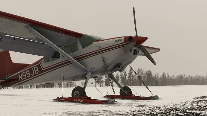 Microsoft Flight Simulator 2024-2025_12_01-23-21-11