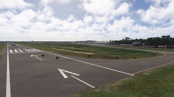 Leg 15 - SADF to SBRJ - 02 beef