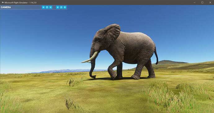 Dessie Zuriah Elephants2