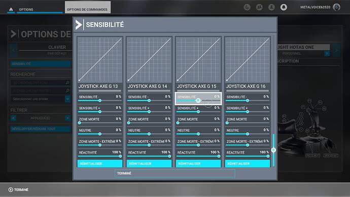Microsoft Flight Simulator
