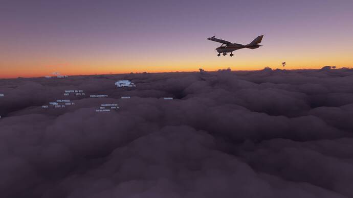 Microsoft Flight Simulator 7_17_2021 2_32_53 PM