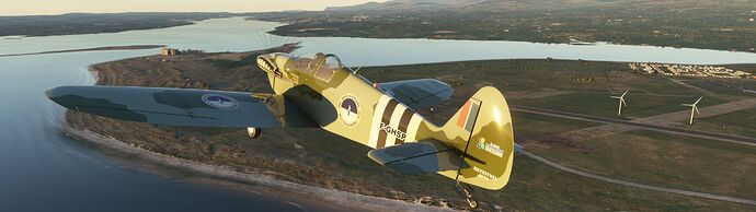 Microsoft Flight Simulator 6_8_2021 5_40_53 PM_result