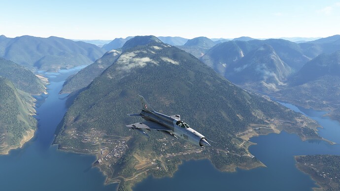 Microsoft Flight Simulator-2024_12_31-11-16-05