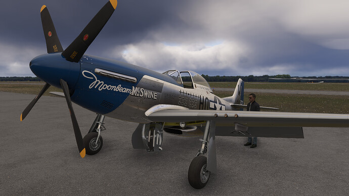 55099591364_075391fe9c_4k