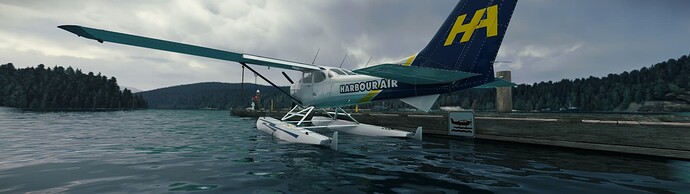 Microsoft Flight Simulator Screenshot 2022.10.23 - 09.57.00.26