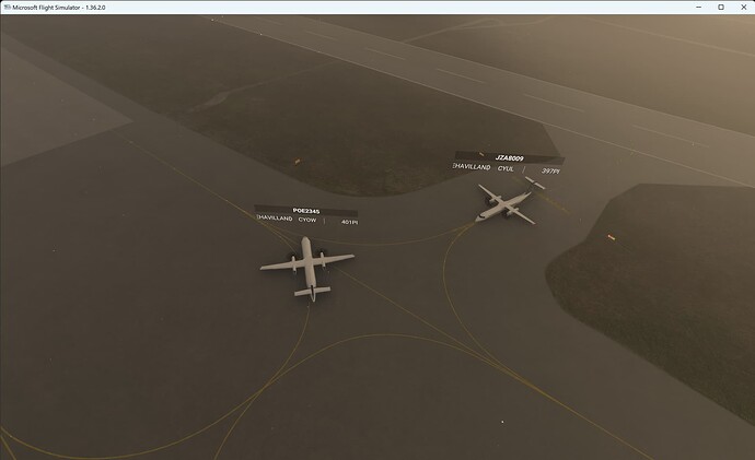 Microsoft Flight Simulator 19_03_2024 17_40_24
