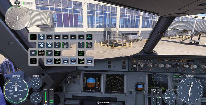 2025-10-31 14_07_56-Microsoft Flight Simulator 2024 - 1.6.21.0 (Custom)