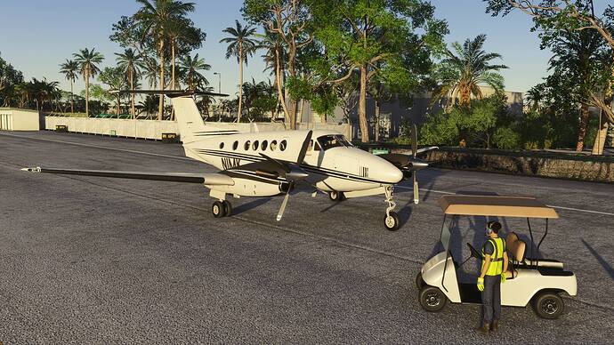 FlightSimulator2024 2026-04-16 19-10-19_405