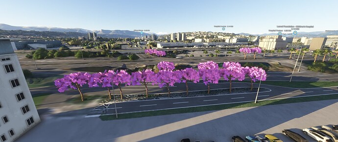 Microsoft Flight Simulator 2024 02_03_2025 16_14_51
