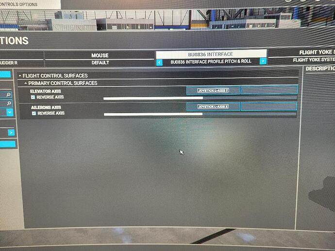 BU Assigning Inputs on MSFS