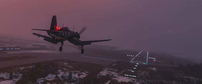 Microsoft Flight Simulator 1_20_2025 8_18_42 PM