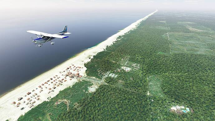 Microsoft Flight Simulator 2021-05-15 14_53_22