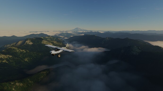 Microsoft Flight Simulator 10_22_2022 10_25_02 AM