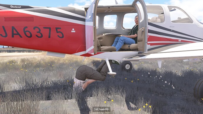 Microsoft Flight Simulator 2024 - 1.2.11.0 12.01.2025 03_46_16