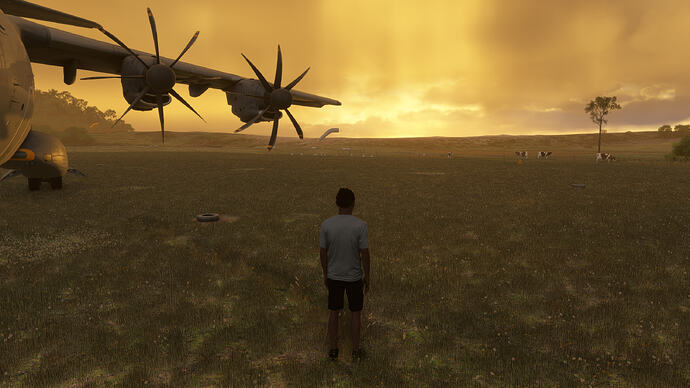Microsoft Flight Simulator 2024 Screenshot 2026.05.13 - 22.17.54.99