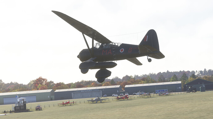 54837820863_c5cf31c99f_k