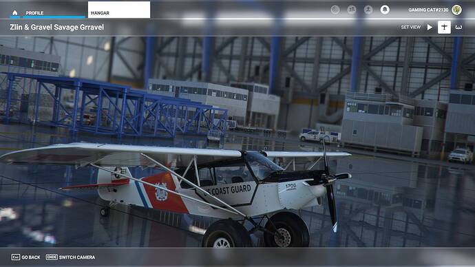 Microsoft Flight Simulator 29.07.2021 16_51_15