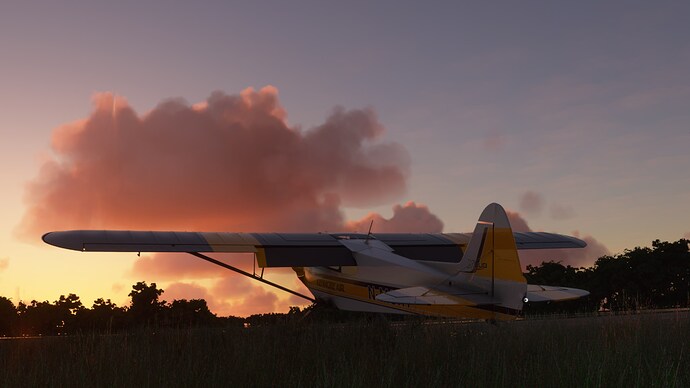 FlightSimulator_FZT0fRRkc9