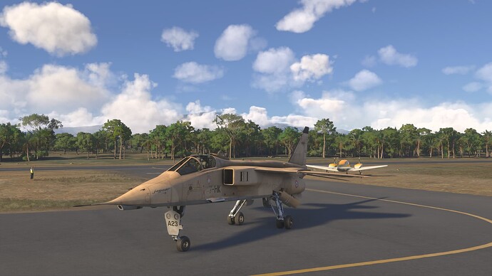 Microsoft Flight Simulator 2024-2025_07_04-17-31-05