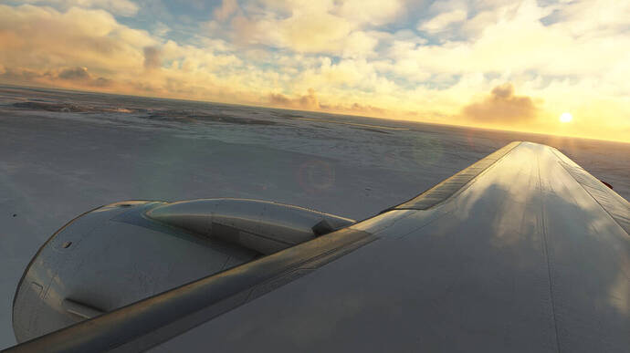 Microsoft_Flight_Simulator_Screenshot_2024.02.08_-_21.50.19.81