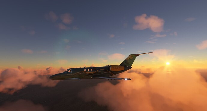 Microsoft Flight Simulator 2_12_2022 7_52_55 PM