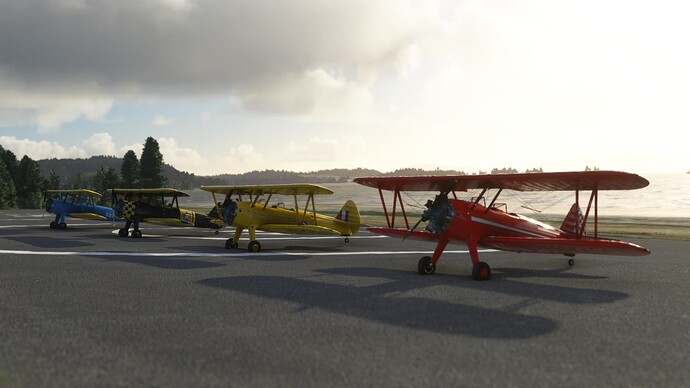 Microsoft Flight Simulator (376)