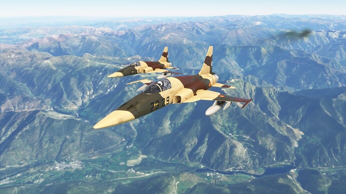 Microsoft Flight Simulator-2024_08_04-23-12-42